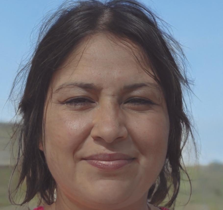 Especialista técnica en sistemas de auditoría